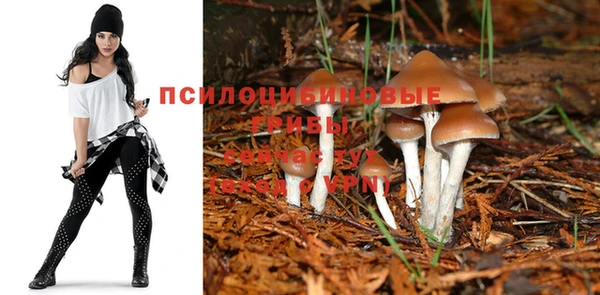 метадон Баксан